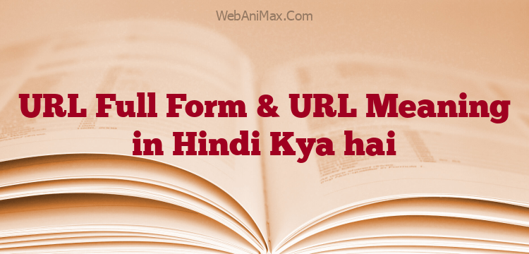 URL Full Form Meaning In Hindi 